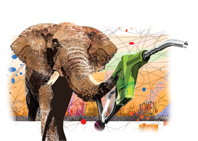 Trompiste-art-digital-Token-artiste-numerique