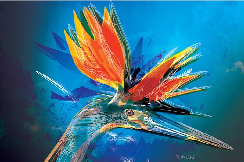 pointure-digital-art-token-